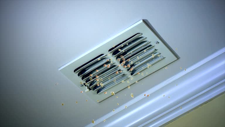 Best Home Air Vent Cleaning  in Troutman, NC